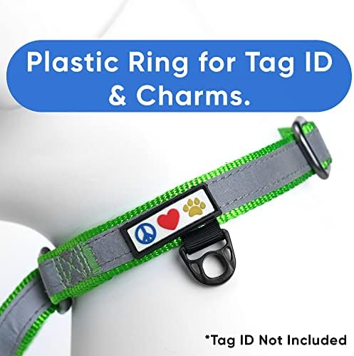 Pawtitas Green Reflective Martingale Dog Collar, Medium