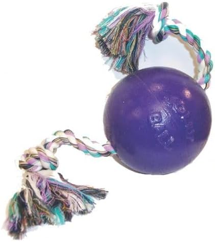 Jolly Pets Romp-N-Roll Rope & Ball Dog Toy, 4.5 in Small, Purple