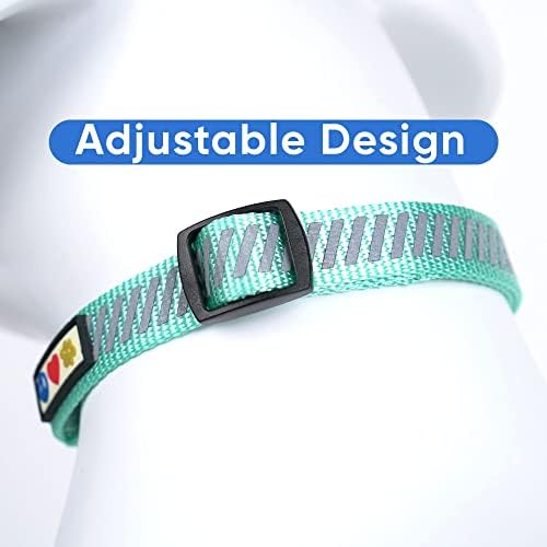 Pawtitas Reflective Dog Collar - Personalized Name & Phone Number, Adjustable for Extra Small & Small Dogs, Teal