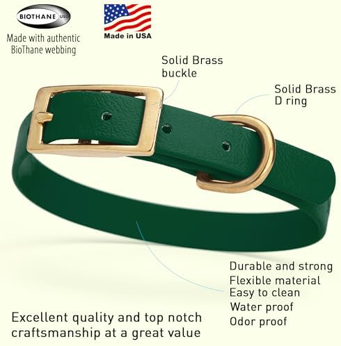 Viper Biothane Heavy Duty Waterproof Dog Collar Strong Coated Nylon Webbing w/Solid Brass Hardware Odor-Proof Easy to Clean High Performance Fits Small Medium or Large Dogs, Hunter Green