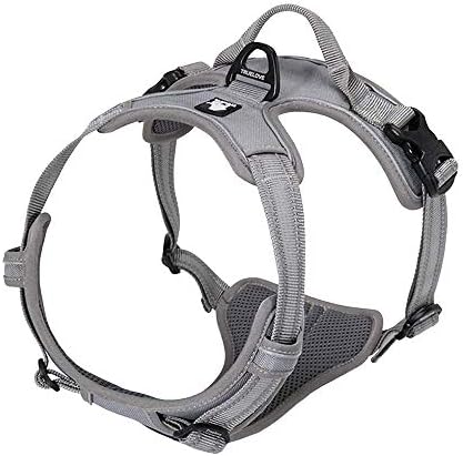 TRUE LOVE Adjustable No-Pull Dog Harness Reflective Pup Vest Harnesses Comfortable Control Brilliant Colors Truelove TLH5651(Gray,L)