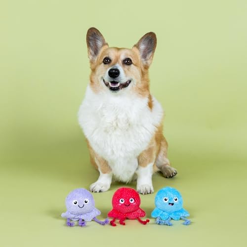Fringe Studio Too TENTA-Cool Small Plush Dog Toy 3PCS Set, PetShop Collection (662127)