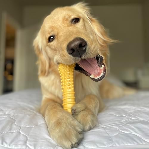 Nylabone Power Chew Customer Favorites Dog Chew Toys, 3 Count, Large