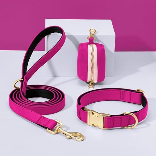 Didog Soft Padded Dog Collar for Large Dogs, Rose Purple, L Neck 16-22"