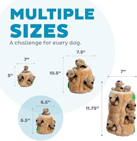 Outward Hound Hide-A-Squirrel Plush Squeaky Dog Toy, Medium, 6.5" x 6.5"