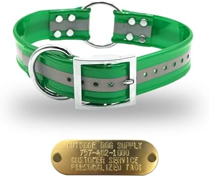 Reflective D & Center Ring 1.5" Dog Collar w Custom Nametag, Dark Green