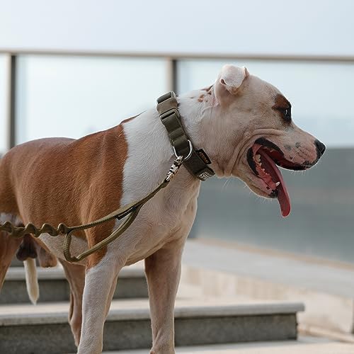 EXCELLENT ELITE SPANKER Tactical Nylon Padded Medium Dog Collar Adjustable