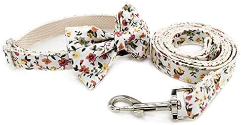 Custom Dog Collar with Names and Phone Number Engraved, Puppy Tags Personalized for Small Medium Large Pets