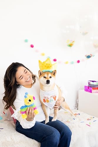 Pearhead Puppy Piñata Dog Toy, Interactive Chew Toy for Dogs