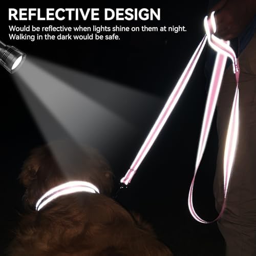 Joytale Reflective Dog Leash for Small Dogs, 5 FT x 3/4", Pink