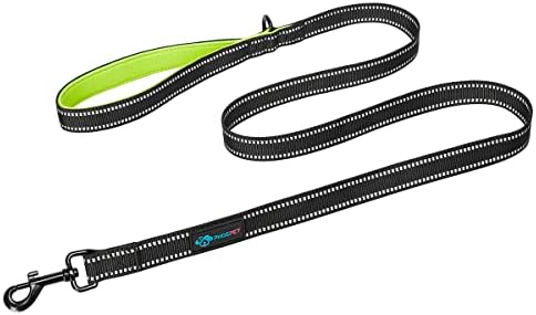 PHOEPET 5 Feet Heavy Duty Dog Leash - Reflective - Soft Padded Handle