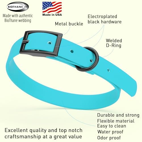 Dogline Biothane Waterproof Dog Collar Strong Coated Nylon Webbing with Black Hardware Odor- Proof for Easy Care Easy to Clean High Performance Fits Small Medium or Large Dogs, Sky Blue