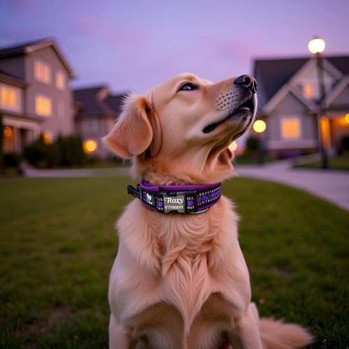 Dog Collar Personalized Reflective Nylon Collar Adjustable Soft & Breathable Pet Collars with Name & Phone Number for Small Dogs Medium Dogs Large Dogs (Orange, L)
