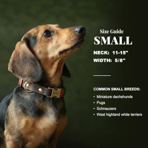 Personalized PU Leather Dog Collars,Quick Release Buckle,Brown,S