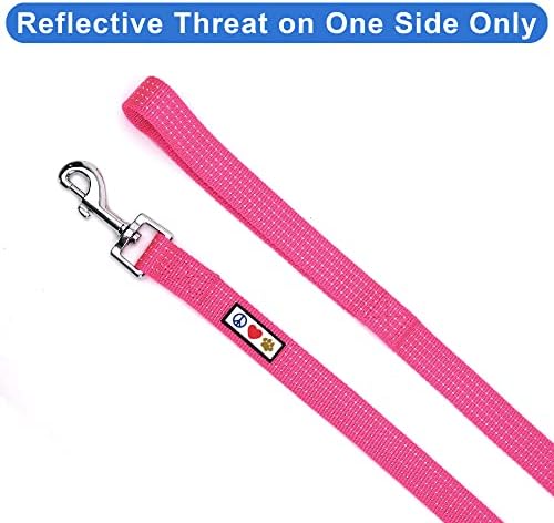 Pawtitas Pink Dog Leash 6 ft XS/S Reflective Durable Lightweight Dog Lead for Small Dogs and Puppies