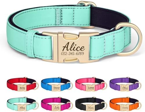 PET ARTIST Colorful Personalized Dog Collars, Breathable Soft, Green,L