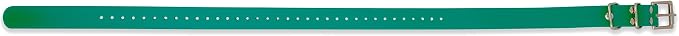 Educator 1-Inch Dog Training Collar Strap – ONLY Fits FE-580, ET-800 & UL-1200 Receivers – NOT Compatible with Mini Educator (ET-300/ET-400) – Durable Biothane Collar, Green