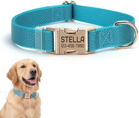 Custom Dog Collar with Name and Phone Number