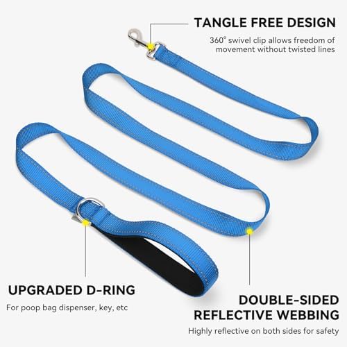 Joytale Reflective Dog Leash for Small Dogs, 4 FT x 3/4", Sky Blue