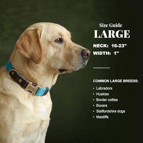 Personalized Dog Collars, Quick Release Buckle, Light Blue,L