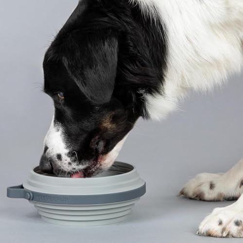 Cleverpup Nomad Large Collapsible Travel Dog Bowl - 4 Cup, Grey Silicone