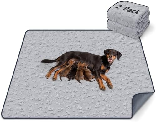 LOOBANI 2 Pack Extra Large Washable Pee Pads for Dogs 54"x54", Gray