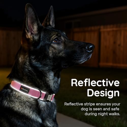 Personalized Dog Collar with QR Code Dog Tag, Oxford Pink S