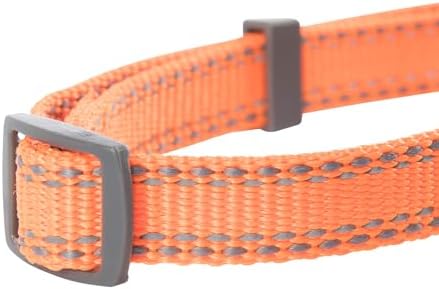 Browning Classic Webbing Collar, Medum, 1 X 14-20IN Safety Orange