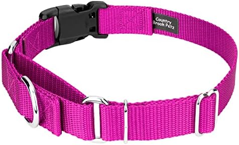 Martingale Dog Collar - Heavy Duty Nylon Adjustable Martingale Dog Collar with Plastic Buckle for Small Medium Large Breeds - 30+ Colors (1 Inch, Large, Fuchsia)