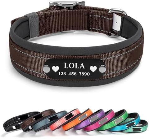 Personalized Reflective Dog Collar with Name, Dark Brown: XL
