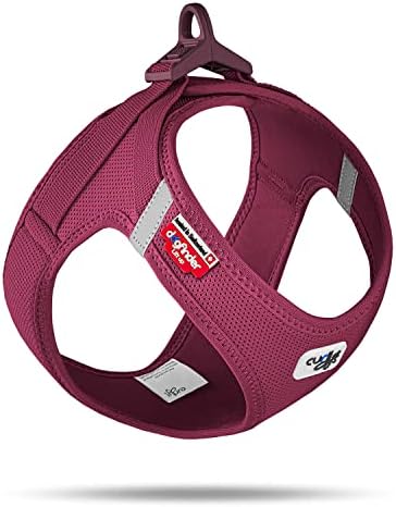 curli Vest Harness Clasp Air-Mesh Dog Harness (Safe Dog Accessories, no Pressure Points, Improved fit, Harness with curli Clasp Buckle)