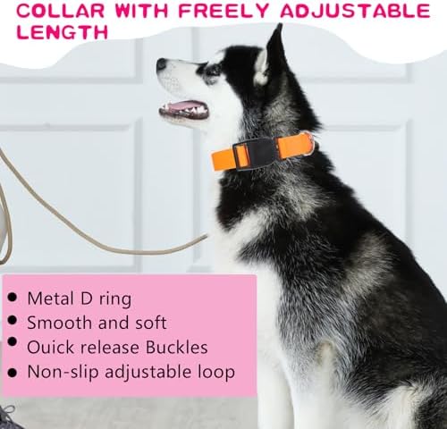 20 Pcs Adjustable Dog Collar 10 Colors Nylon Pet Collar Soft Neoprene Padded Collar with Buckle Heavy Duty Medium Dog Collars for Medium Dogs(Dark Color, Large)