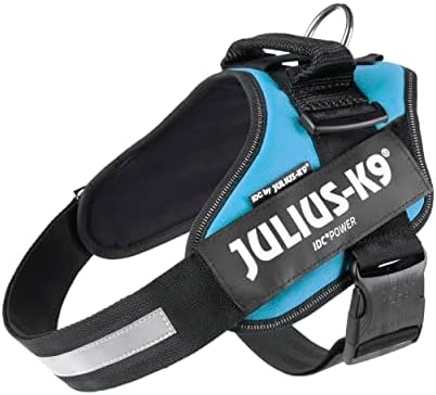 Julius-K9, 16IDC-AM-1, IDC Powerharness, Dog Harness, Size: 1, Aquamarine
