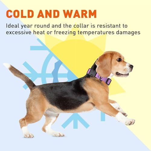 Dogline Biothane Waterproof Dog Collar with Quick Release Buckle Strong Coated Nylon Webbing with Odor- Proof for Easy Care Easy to Clean Fits Small Medium Large Dogs, Amethyst Purple 3/4" W 12-19" L