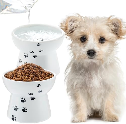 Teenyyou 2 Pack Elevated Dog Bowls for Small Dogs and Cats, 3.7" H x 4.8" W