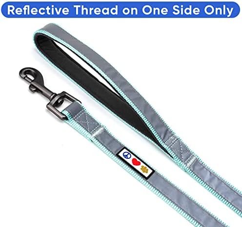 Pawtitas Teal Dog Leash 6 ft Custom ID Lead for Dogs & Puppies Reflective Comfortable Padded Handle Embroidered Name & Phone Number