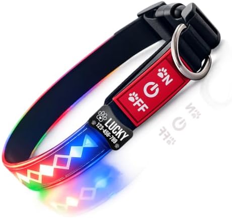 Personalized Flashing Dog Collar with Laser Engraved ID Tag