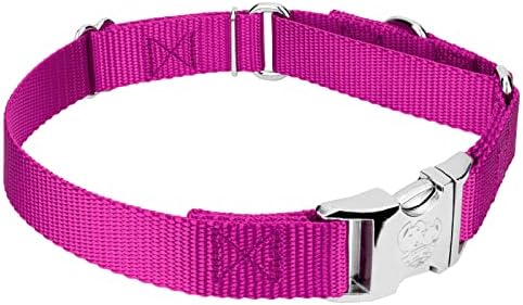 Country Brook Petz - Martingale Dog Collar - Heavy Duty Nylon Adjustable Martingale Dog Collar with Metal Buckle for Small Medium Large Breeds - 30+ Color Options (1 Inch, Medium, Fuchsia)