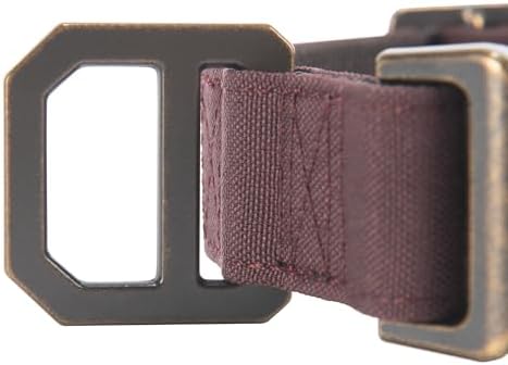 Carhartt Nylon Duck Dog Collar, Fully Adjustable Durable 2-Ply Cordura Nylon Canvas Collars for Dogs, Deep Wine, Large