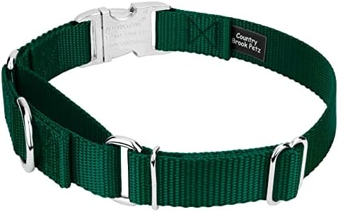 Country Brook Petz - Martingale Dog Collar - Heavy Duty Nylon Adjustable Martingale Dog Collar with Metal Buckle for Small Medium Large Breeds - 30+ Color Options (3/4 Inch, Small, Green)