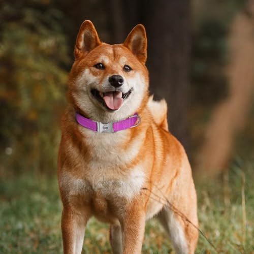 Silent Dog Collar Personalized with Name Phone Number Laser Engraved