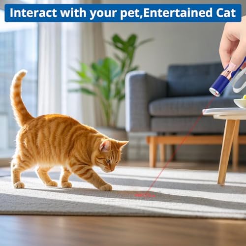 TBTeek Cat Toys, with Metal Case, 2 Pieces, Rechargeable (Blue)