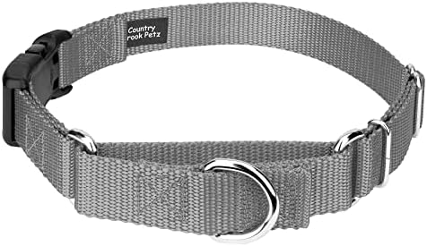 Martingale Dog Collar - Heavy Duty Nylon Adjustable Martingale Dog Collar with Plastic Buckle for Small Medium Large Breeds - 30+ Colors (5/8 Inch, Extra Small, Silver)