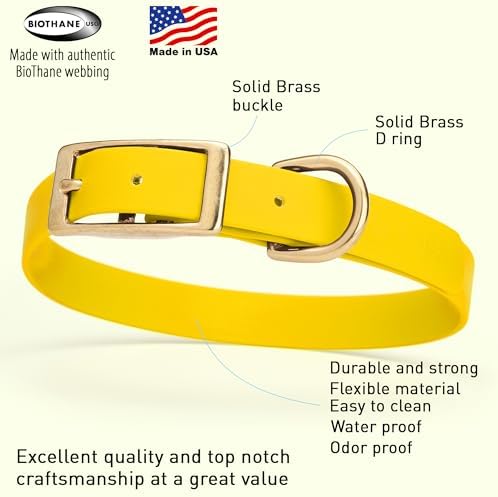 Viper Biothane Heavy Duty Waterproof Dog Collar Strong Coated Nylon Webbing w/Solid Brass Hardware Odor-Proof for Easy Care to Clean High Performance Fits Small Medium or Large Dogs, Lemon Yellow