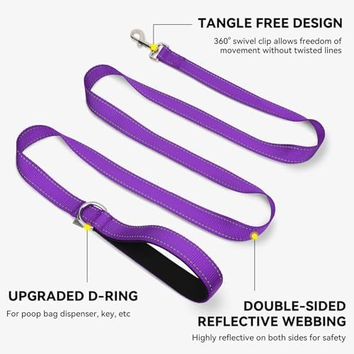 Joytale Reflective Dog Leash for Small Dogs, 6 FT x 3/4", Purple