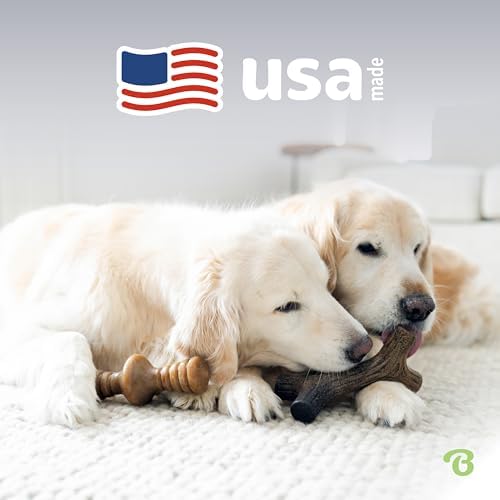 Benebone 2-Pack Maplestick/Zaggler Durable Dog Chew Toys, Dog Bones, Large