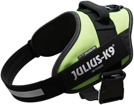 Julius-K9, 16IDC-NE-1, IDC Powerharness, Dog Harness, Size: 1, Neon Green
