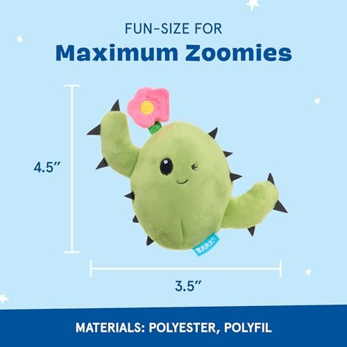 BarkBox Consuela the Cactus 2-in-1 Interactive Plush Dog Toy