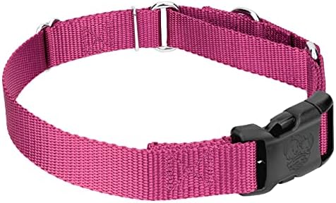 Martingale Dog Collar - Heavy Duty Nylon Adjustable Martingale Dog Collar with Plastic Buckle for Small Medium Large Breeds - 30+ Colors (1 Inch, Extra Large, Rose)