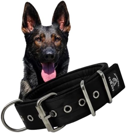 SparkDog 2" Padded Working Dog Collar (Basic Blank, 2" Padded (16-21" Neck)
